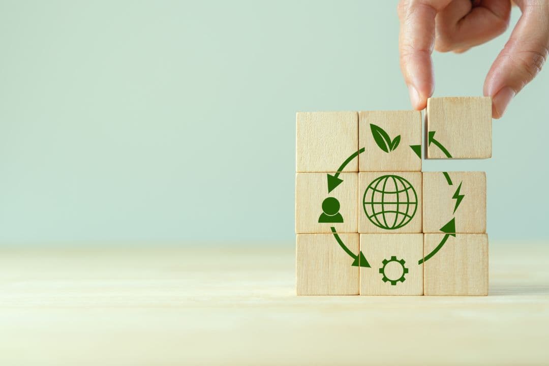 Photo of some wooden blocks with a printed graphic showing a circular lifecycle illustration