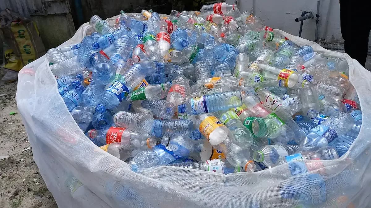 A white bag is filled with empty plastic bottles to be recycled.